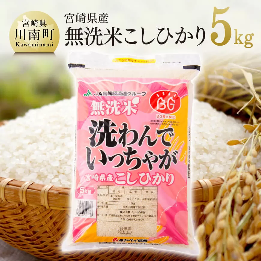 【令和6年産】宮崎県産 無洗米こしひかり5kg 米 お米 白米 精米 国産 宮崎県産 コシヒカリ 新米