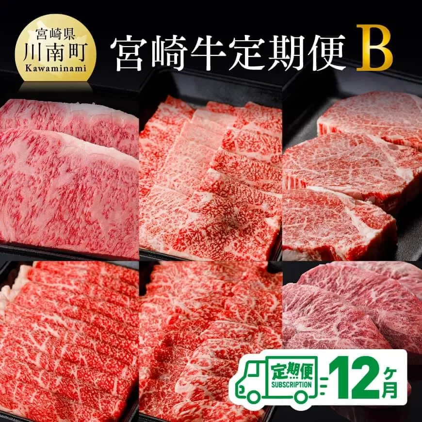 【 定期便 】宮崎牛12ヶ月定期便Ｂ 4大会連続日本一 国産九州産 肉 牛 宮崎県産 牛肉 黒毛和牛 ミヤチク 全12回 