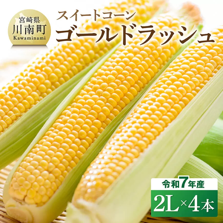 【令和7年発送】宮崎県産とうもろこし　スイートコーン「ゴールドラッシュ」2L×4本 新鮮 農家直送 トウモロコシ 産地直送 季節限定 期間限定 宮崎県産 九州産