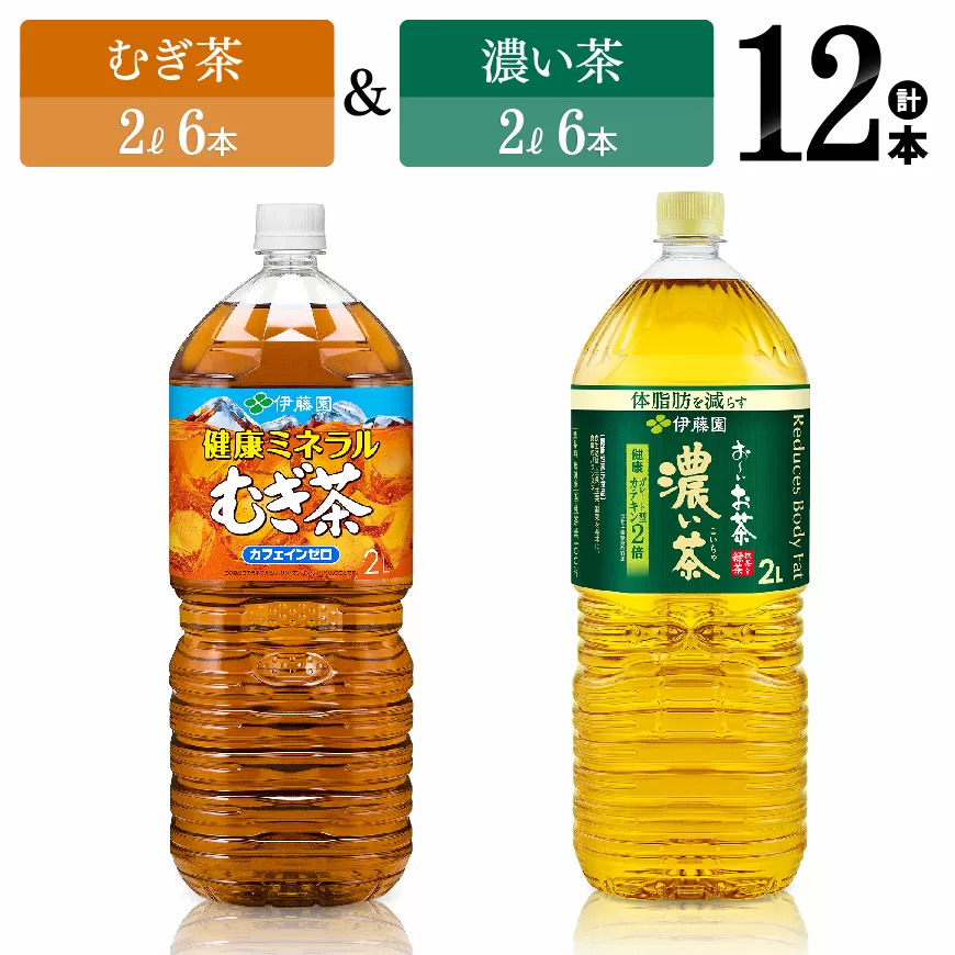 伊藤園　むぎ茶（2L）＆濃い茶（2L）(PET）12本 伊藤園 飲料類 お茶 麦茶 濃い茶 緑茶 PET セット 詰め合わせ 飲みもの