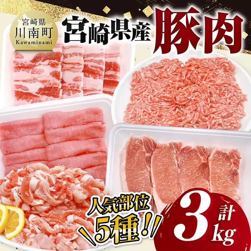 宮崎県産豚肉5種 3kg 豚肉 ぶた肉 肉 ロース バラ 切り落とし ミンチ 焼肉用 豚肉セット