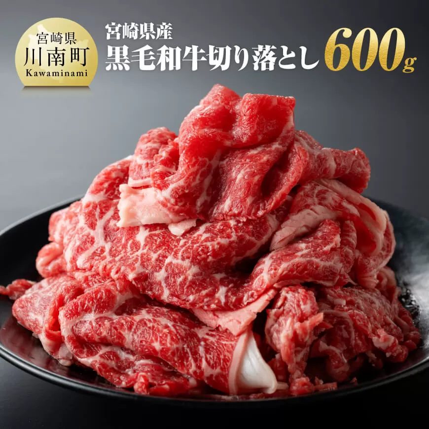 宮崎県産 黒毛和牛 切り落とし 600g 肉 牛肉 牛 宮崎牛 炒め物 2パック 日本ハム