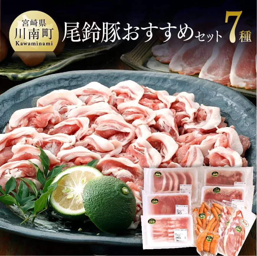 尾鈴豚おすすめセット【肉 豚肉 国産 九州産 宮崎県産 豚しゃぶ カツ 焼肉 バーベキュー バラエティ セット】