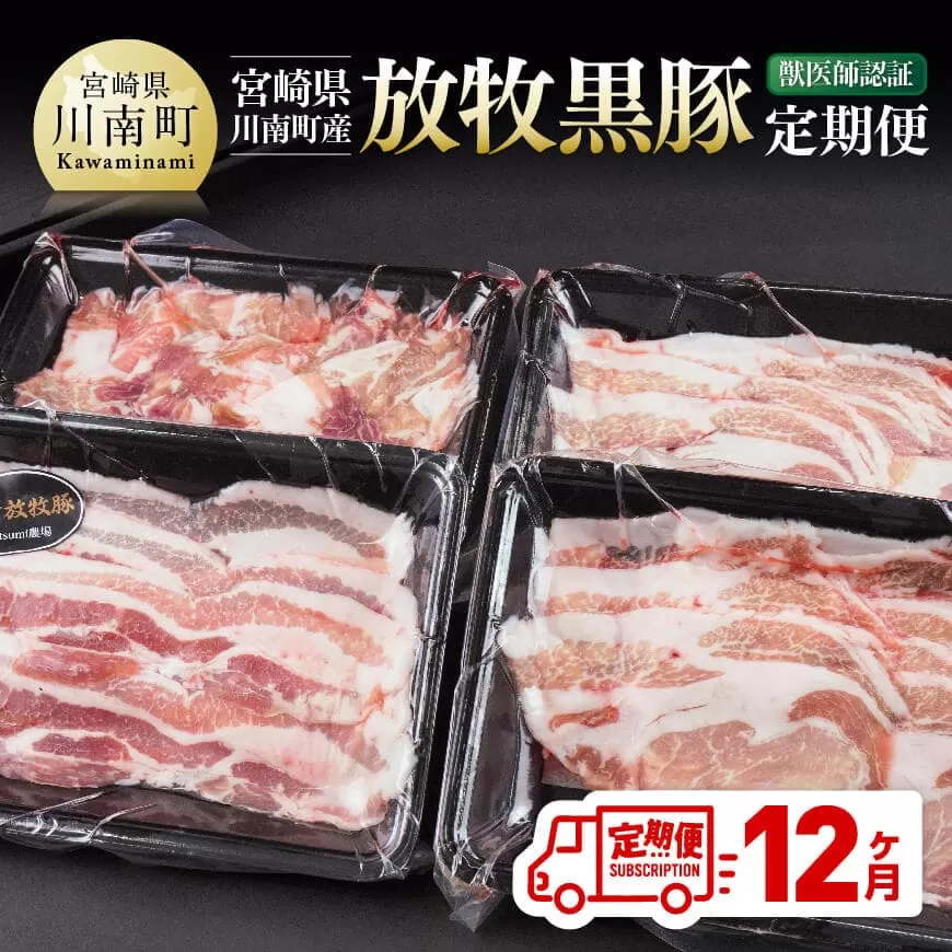 [12ヶ月定期便]宮崎県川南町産 放牧黒豚定期便 豚 肉 豚肉 国産 黒豚 九州産 宮崎県産 川南町 加工品 セット 送料無料