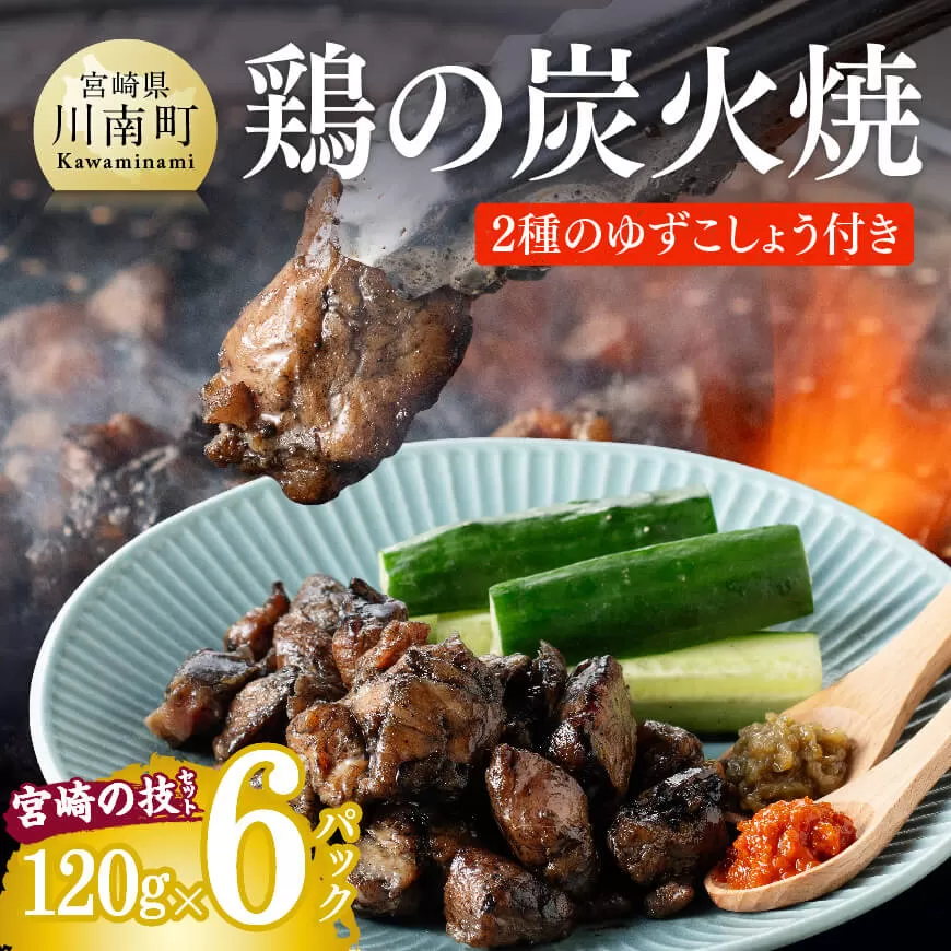 鶏の炭火焼「宮崎の技セット」 肉 鶏肉 炭火焼 惣菜 郷土料理 おつまみ おかず おうちごはん 国産鶏肉 簡単鶏肉おつまみ