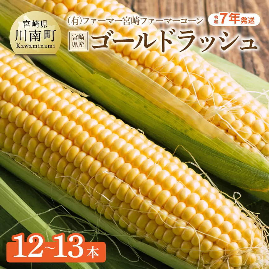 [令和7年発送]宮崎県産とうもろこし ファーマー宮崎 ファーマーコーン「ゴールドラッシュ」12〜13本 2025年発送 トウモロコシ スィートコーン 期間限定 先行受付