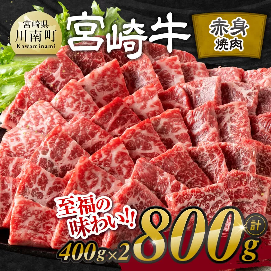 宮崎牛赤身焼肉 800g (400g×2) 【 肉 牛肉 ウデ モモ 焼肉 黒毛和牛 国産 九州産 】
