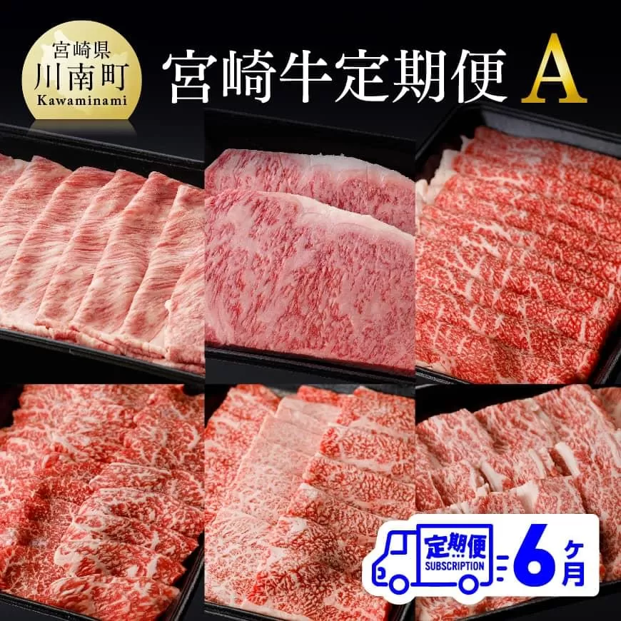 【6ヶ月定期便】 宮崎牛 定期便A 4大会連続日本一 肉 牛肉 国産 黒毛和牛 肉質等級4等級以上 4等級 5等級 ミヤチク ステーキ 焼肉 全6回 定期便 