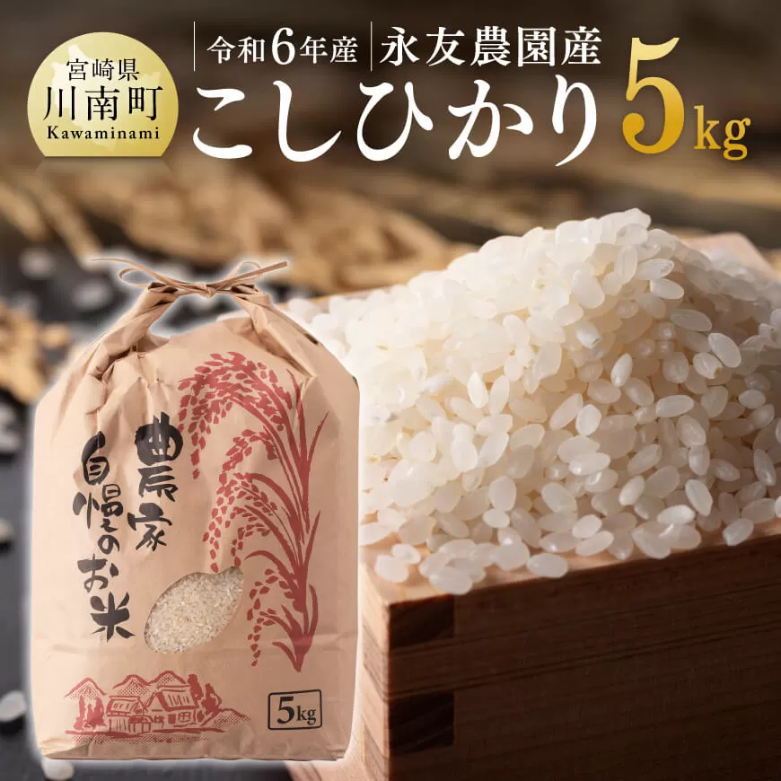 【令和6年産】永友農園産「こしひかり」5kg 米 お米 白米 精米 国産 米飯 米 お米 宮崎県産米 コシヒカリ お米 コメ おこめ