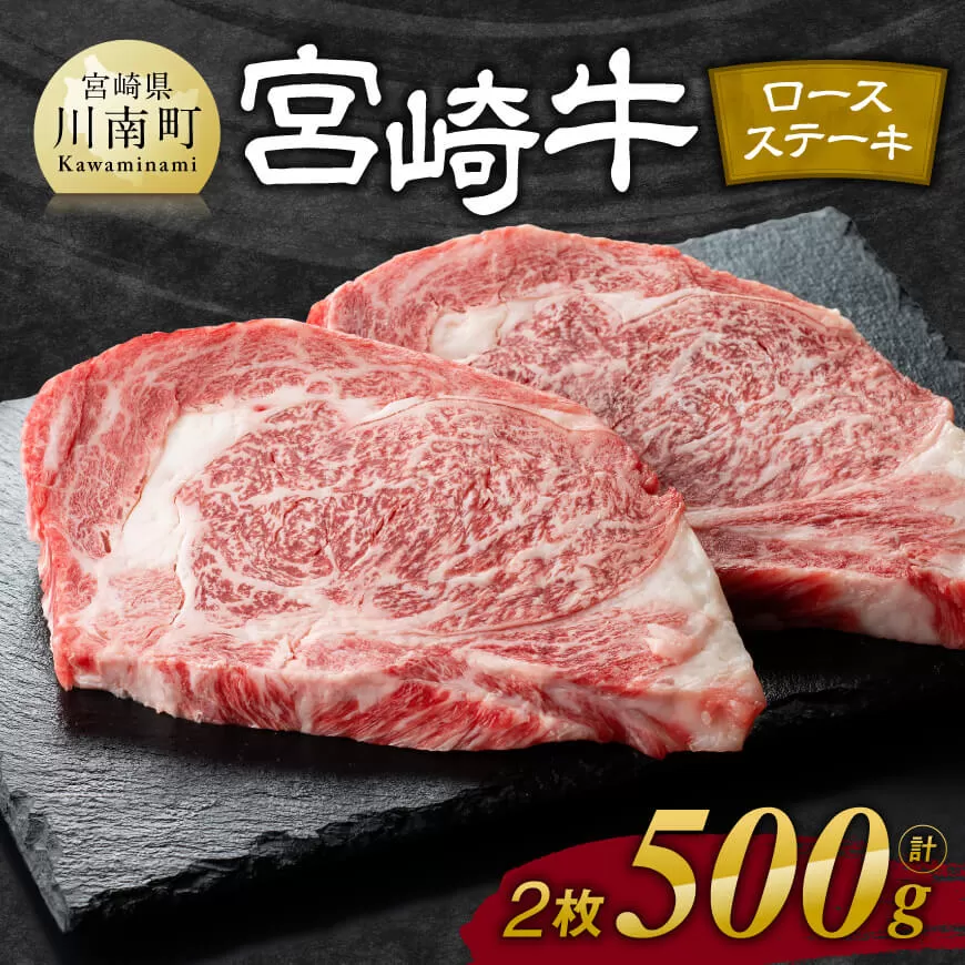 宮崎牛 ロース ステーキ 2枚 500g 肉 牛肉 国産 宮崎県産 宮崎牛 黒毛和牛 和牛 ステーキ BBQ 4等級  A4ランク ロース  E11106