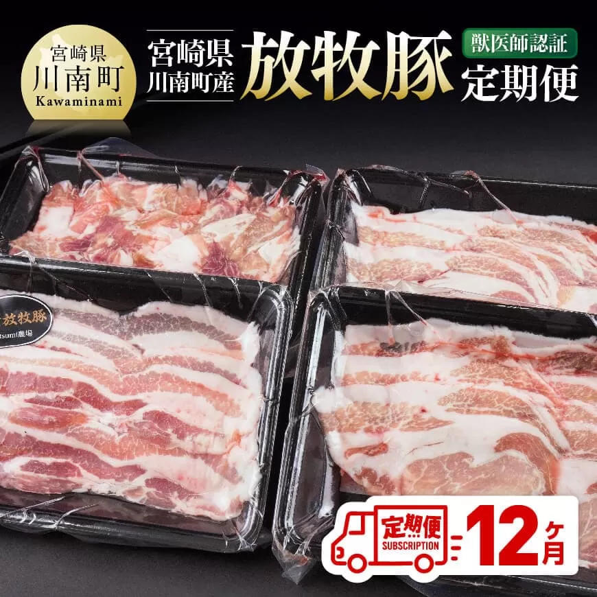 [12ヶ月定期便]宮崎県川南町産 放牧豚定期便 豚 肉 豚肉 国産 九州産 宮崎県産 川南町 加工品 セット 送料無料