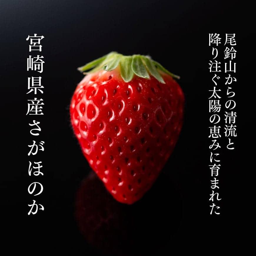 数量限定※【令和6年4月発送】宮崎県産いちご「さがほのか」 230g×4