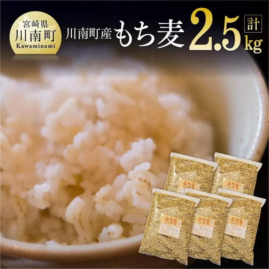 令和5年産 もち麦 2.5kg（500g×5袋）【国産 麦 もち麦 食物繊維】