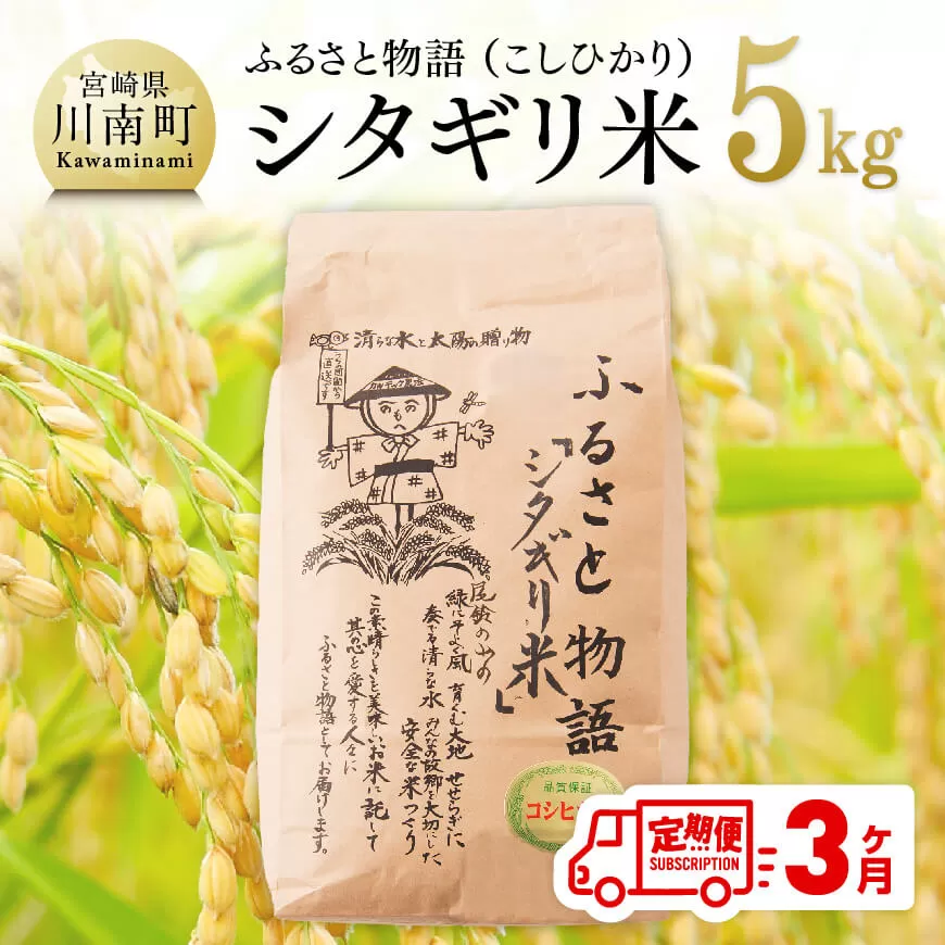 【3ヶ月定期便】※毎月20日頃発送※【令和6年産】宮崎県産こしひかり「シタギリ」5kg【 お米 新米 2024年産 定期便 全3回 】