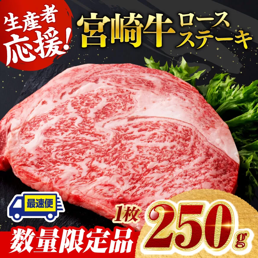 《数量限定》宮崎牛ロースステーキ1枚 (250g)【 肉 牛肉 宮崎県産 黒毛和牛ミヤチク】