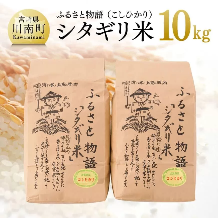 【令和6年産】 宮崎県産 こしひかり 「 シタギリ米 」 5kg×2 【 米 お米 白米 精米 国産 宮崎県産 こしひかり おにぎり 】