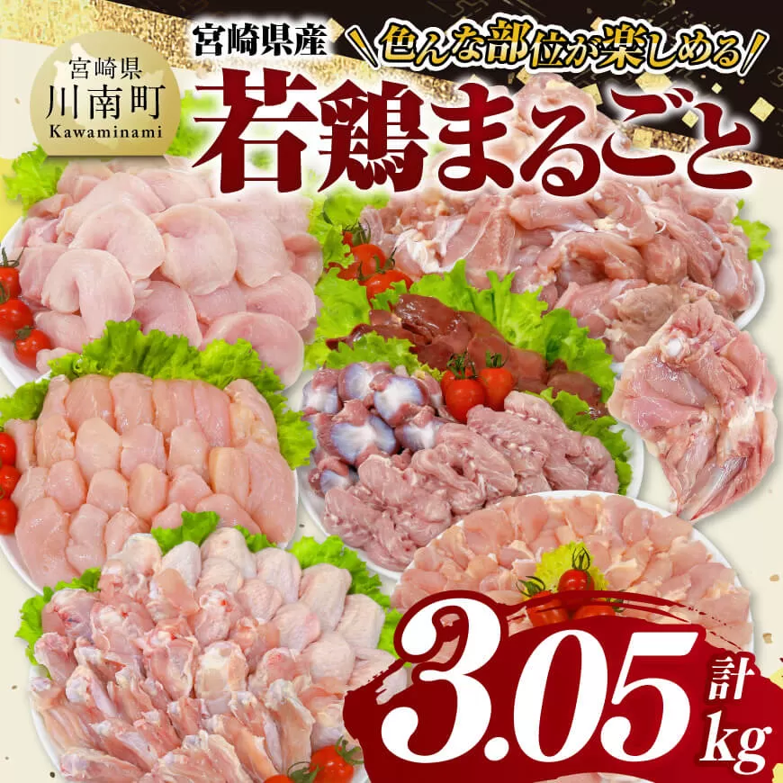 宮崎県産 若鶏 まるごと 3.05kg もも むね ささみ 砂肝 手羽先 手羽元 小肉 鶏肉 とり肉 セット ごはん 料理