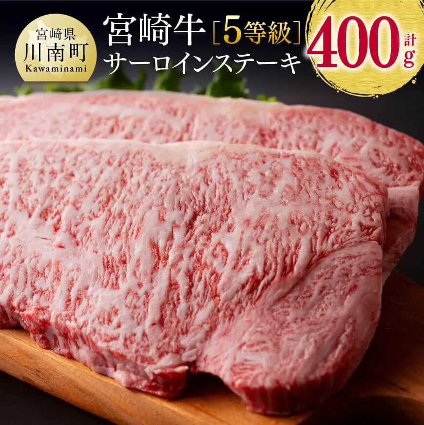 ５等級！ 宮崎牛 サーロインステーキ 400g  4大会連続日本一 ミヤチク 牛 肉 牛肉 国産 九州産 宮崎県産 黒毛和牛 和牛 サーロイン ステーキ