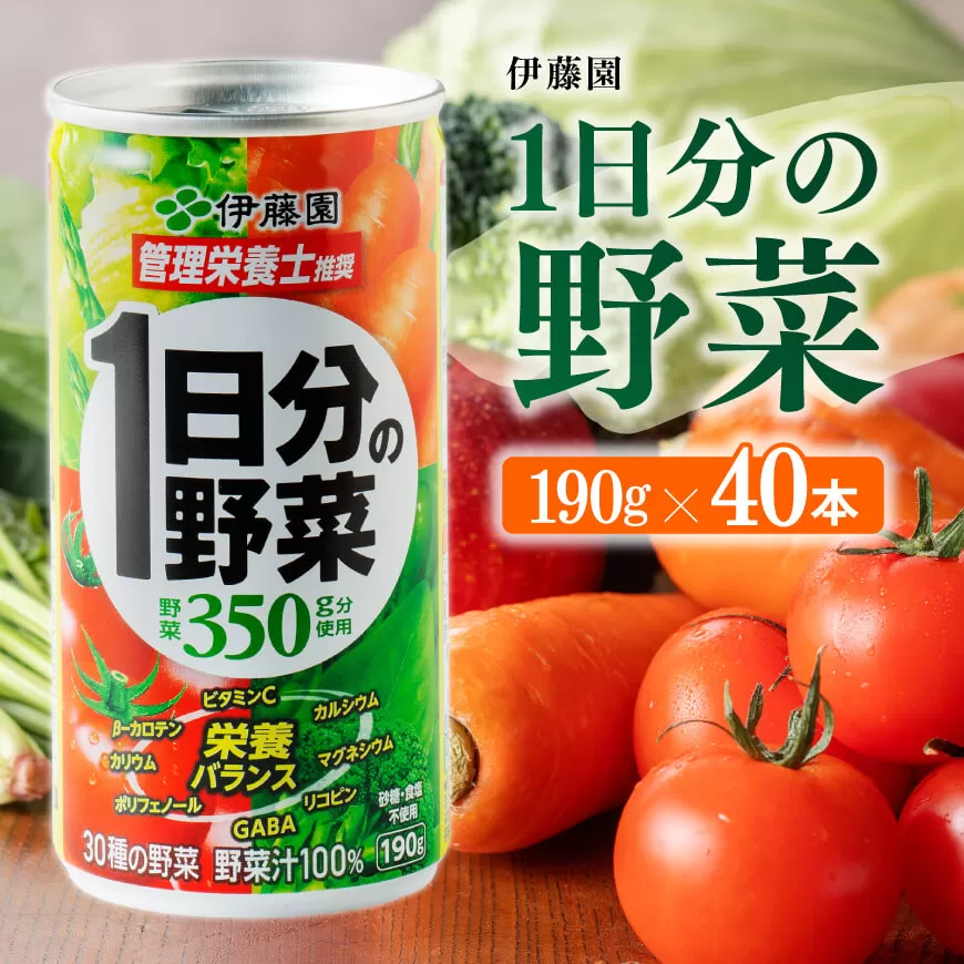 伊藤園 1日分の野菜 190g (缶20本入り×2ケース) 野菜飲料 野菜ジュース ミックスジュース 飲料類 セット ジュース ソフトドリンク ケース