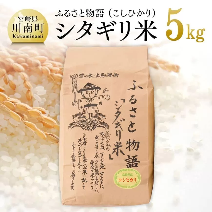 【 令和6年産 】 宮崎県産 こしひかり 「 シタギリ米 」 5kg  【 米 お米 白米 精米 国産 宮崎県産 こしひかり おにぎり 】