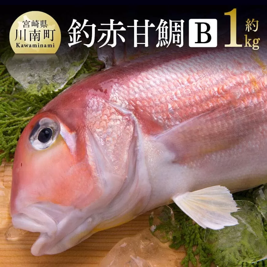 『釣赤甘鯛 Ｂ』 鮮魚 さかな 九州 宮崎 川南町 新鮮 魚介 魚 海の幸 G4406