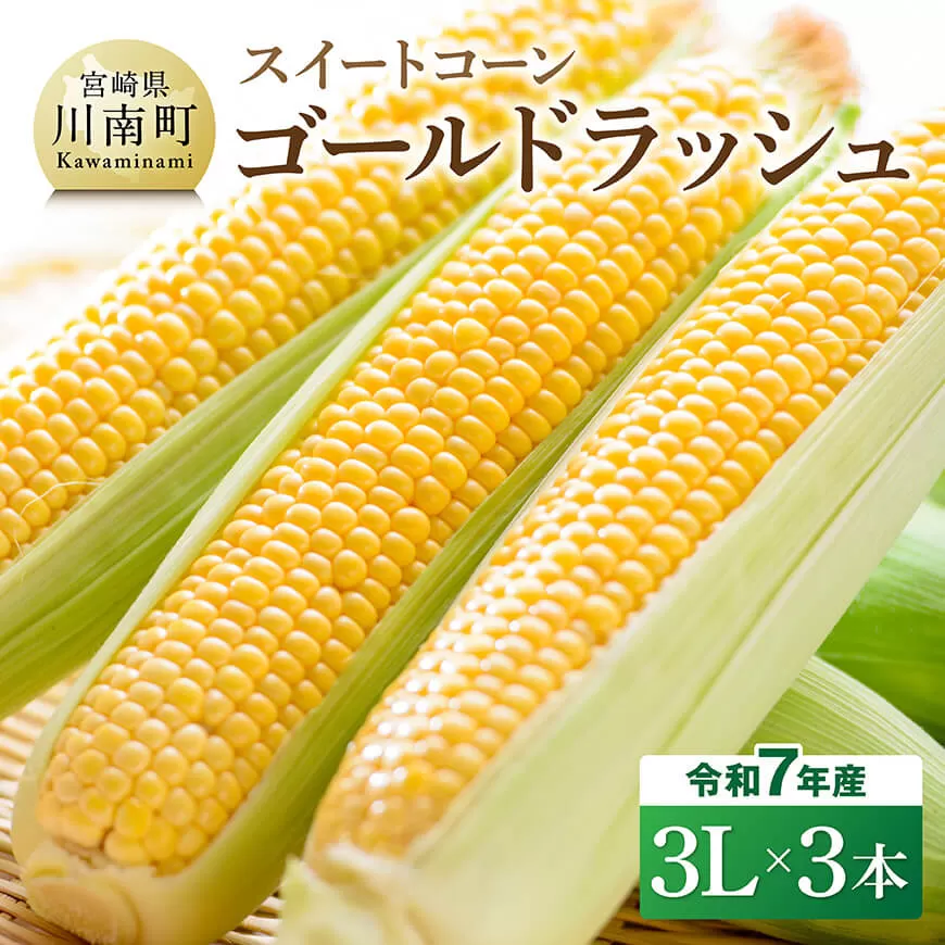 【令和7年発送】宮崎県産とうもろこし　スイートコーン「ゴールドラッシュ」3L×3本 新鮮 農家直送 トウモロコシ 産地直送 季節限定 期間限定 宮崎県産 九州産