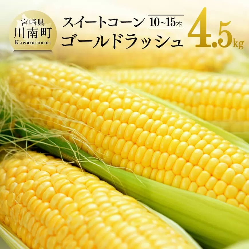 [令和7年発送]宮崎県産とうもろこし 大山さんちのスイートコーン「ゴールドラッシュ」4.5kg 先行予約 数量限定 期間限定 スィートコーン 2025年発送 先行受付 宮崎県産 九州産 野菜