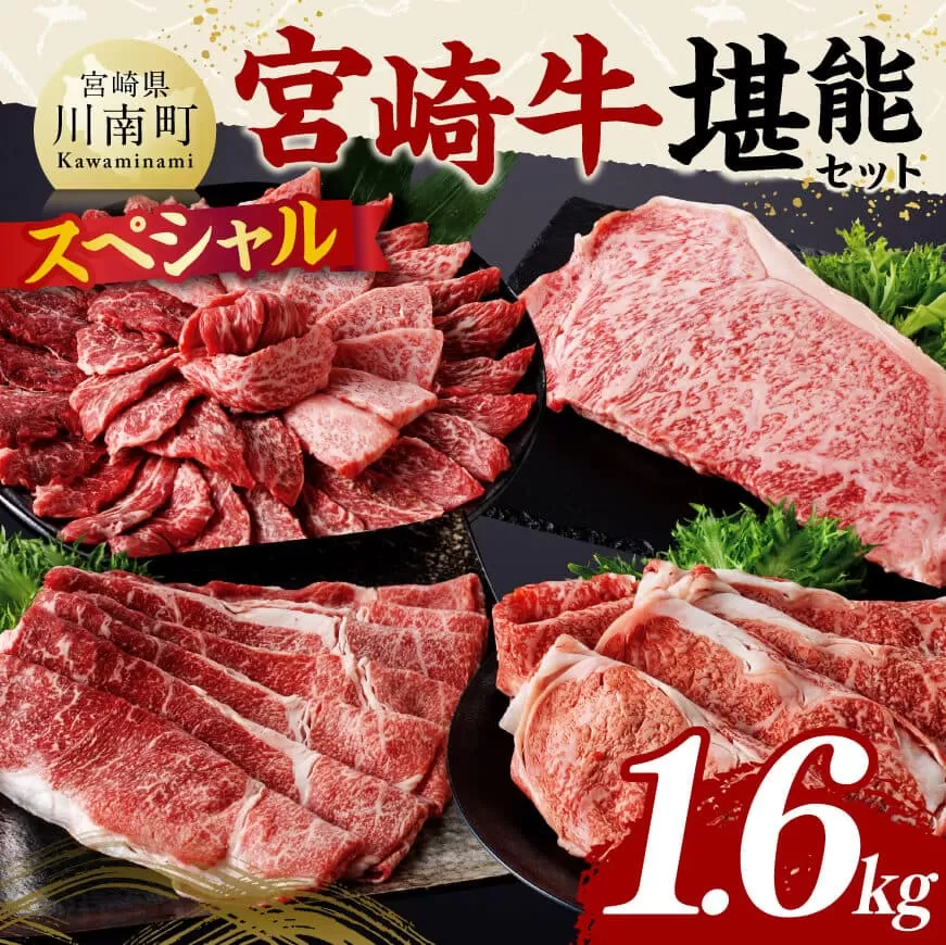 宮崎牛 堪能セット 【スペシャル】 合計1.6kg 肉 牛肉 国産 宮崎県産 黒毛和牛 和牛 モモスライス カルビ