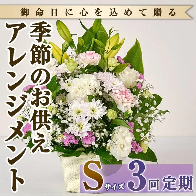 ＜定期便・3回(連続)＞季節のお供え用アレンジメント(生花：Sサイズ)生花 お花 花束 フラワー 植物 お供え 供花 仏花 命日 仏事 法事 贈り物【FM-20】【フラワーショップまつだ】