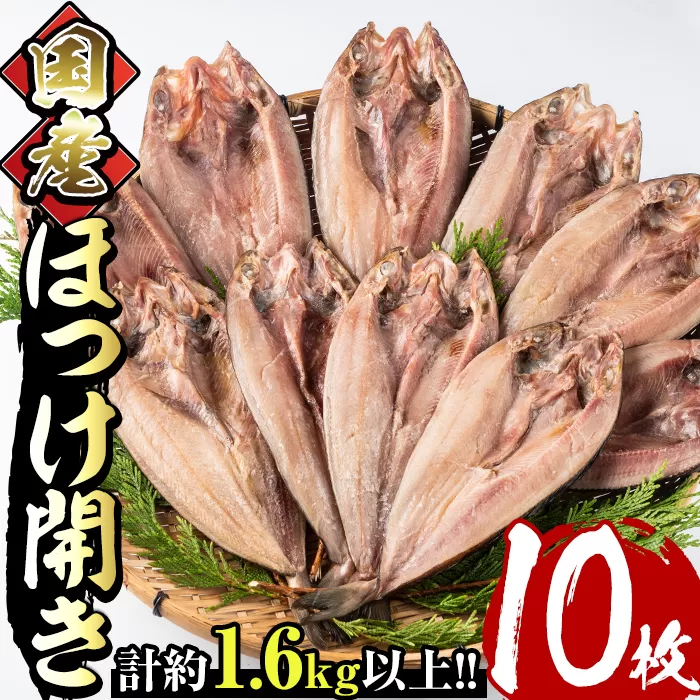 国産ほっけ開き(10枚・計1.6kg以上)干物 セット 魚 魚介類 簡単 調理 冷凍【E-17】【水永水産】