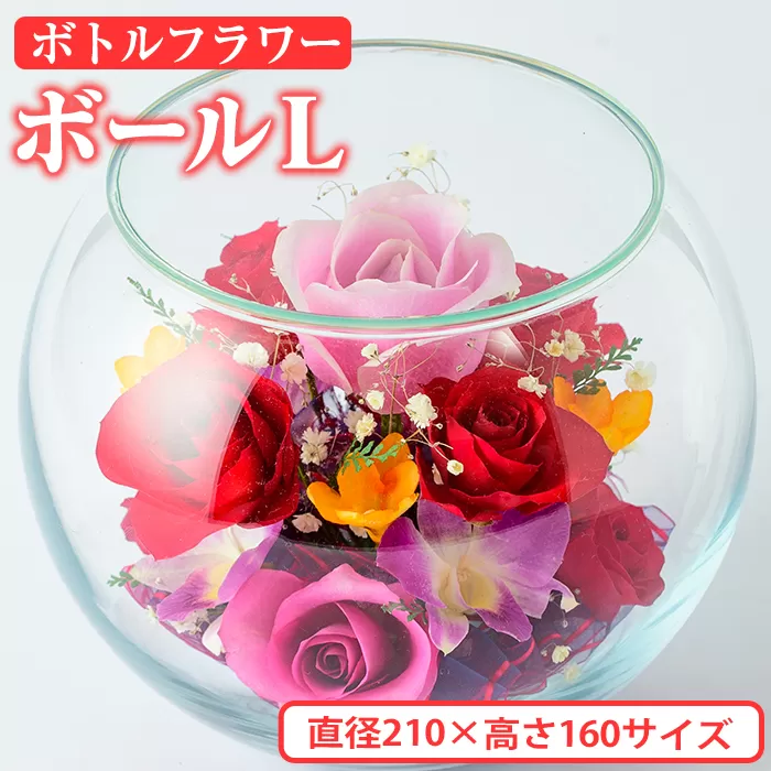 ボトルフラワー ボール(L)【AT008】【ボトルフラワーatelier4-flowers】
