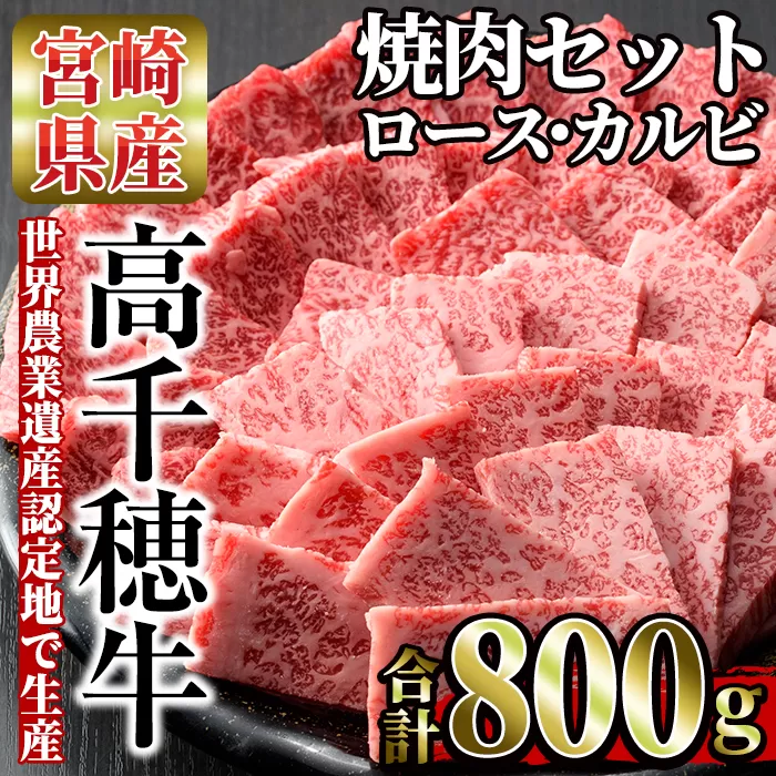 高千穂牛 焼き肉セット(ロース・カルビ各400g)【MT014】【JAみやざき 高千穂牛ミートセンター】