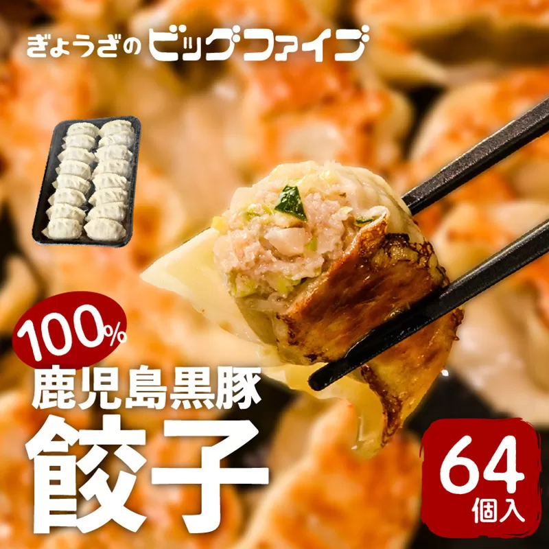 鹿児島黒豚100％餃子　64個入り