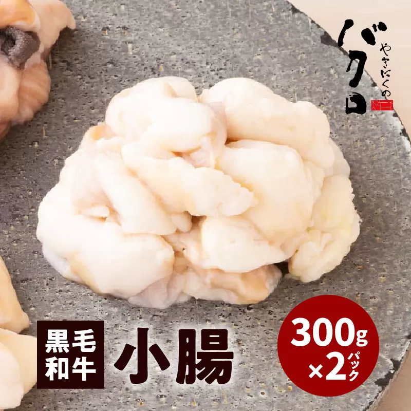 黒毛和牛小腸（ホルモン）300g入り×2パック