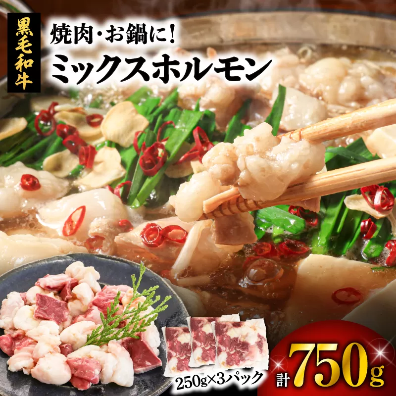 焼肉・お鍋に！ミックスホルモン750g（250g×3パック）