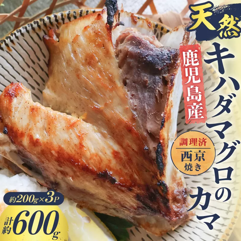 鹿児島産 天然 キハダマグロのカマ約200g×3P 調理済 (西京焼き)