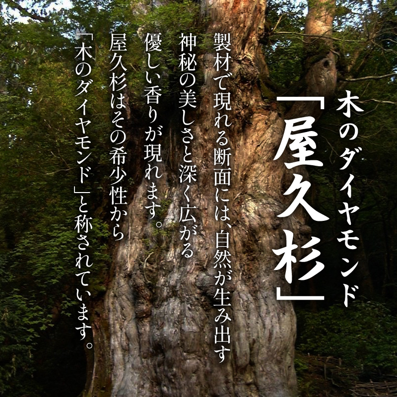 屋久杉 薩摩切子柄箸置き｜鹿児島市｜鹿児島県｜返礼品をさがす｜まいふる by AEON CARD