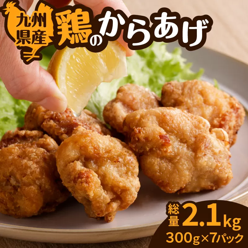 九州県産鶏の唐揚げ