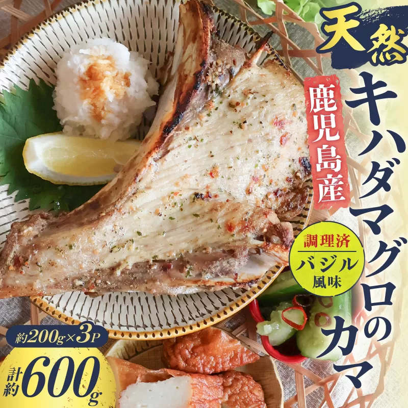 鹿児島産 天然 キハダマグロのカマ約200g×3P 調理済 (バジル風味)