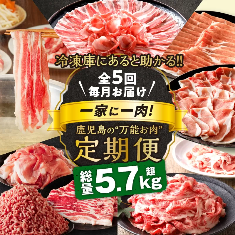 【全5回】一家に一肉！鹿児島の万能お肉定期便