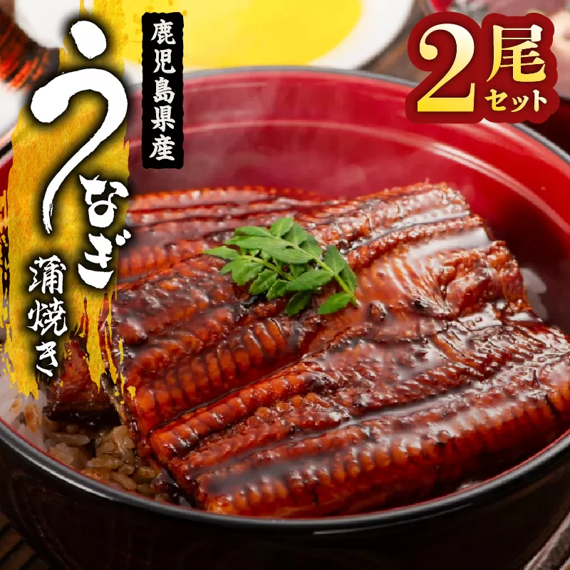 1654-1 鹿児島県産 うなぎ蒲焼き2尾セット