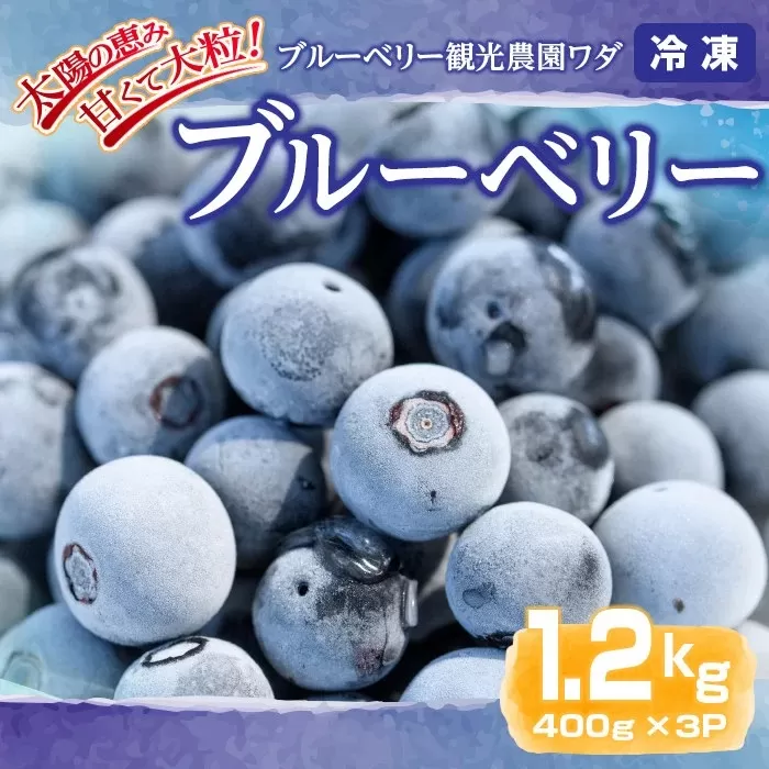 粒王 冷凍ブルーベリー 1.2kg[400g×3P]