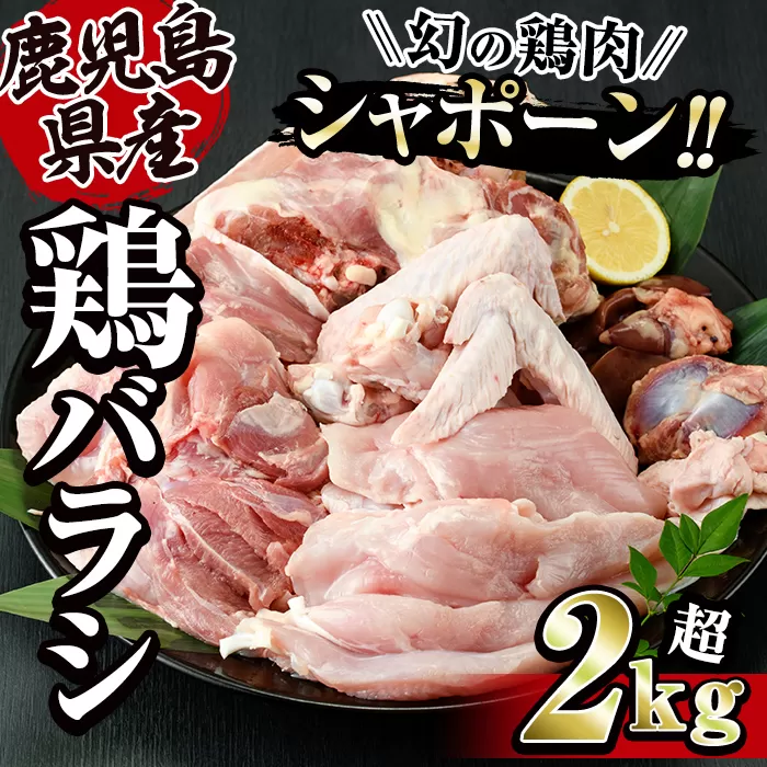 唯一の国産 幻の鶏肉 シャポーン鹿児島鶏バラシ2Kg以上[鶏肉 鶏 鳥肉 もも肉 むね肉 ガラ ササミ 手羽先 手羽元 内臓]