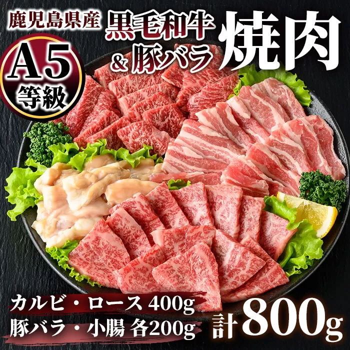 A5等級黒毛和牛&南国スイート豚焼肉バラエティパック 800g