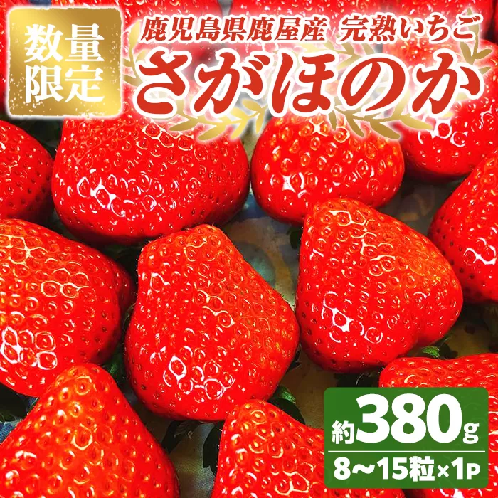 [数量限定]鹿児島県産いちご「さがほのか」8〜15粒 ストロベリーハウス彩より直送