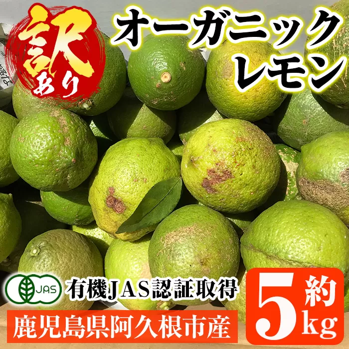 数量限定！有機JAS 訳ありオーガニックレモン(約5kg) 国産 訳あり レモン 檸檬 果実 果物 フルーツ 柑橘 デザート 期間限定 有機栽培 健康志向 【中村農場】a-14-50