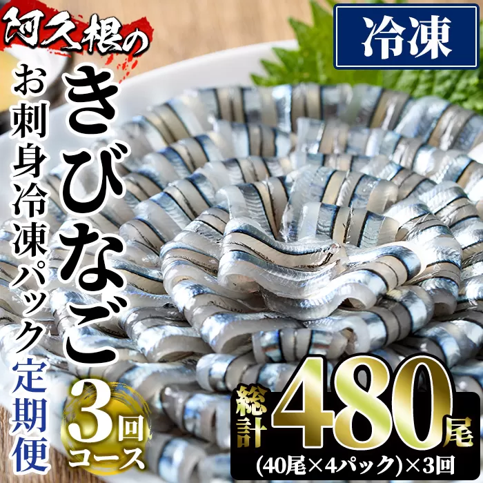 ＜定期便・全3回(冷凍便)＞鹿児島県産！阿久根のきびなごお刺身セット(計480尾・40尾×4P×3回) 冷凍 魚介類 海鮮 魚 きびなご キビナゴ 刺身 さしみ 刺し身 青魚 子魚 小分け【椎木水産】a-34-5-z