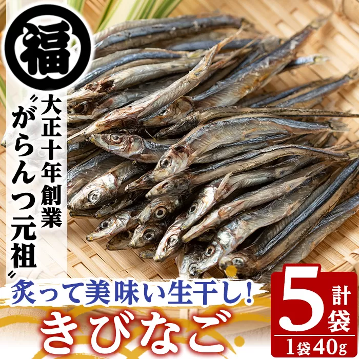 鹿児島県阿久根市産生干し「きびなご」(計5袋・1袋40g)国産 魚介 干物 ひもの キビナゴ がらんつ干物【マルフク川畑水産】a-12-150