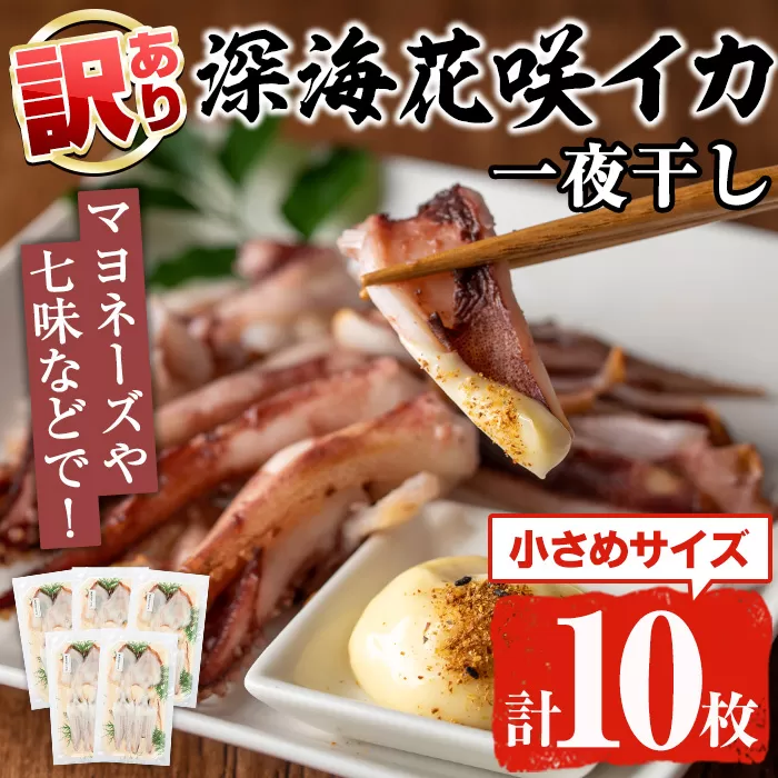 ＜訳あり＞数量限定！深海花咲イカ(計10枚) 国産 いか 一夜干し 干物 ひもの 魚介 加工品 おつまみ おかず 訳あり【福美丸水産】a-14-46