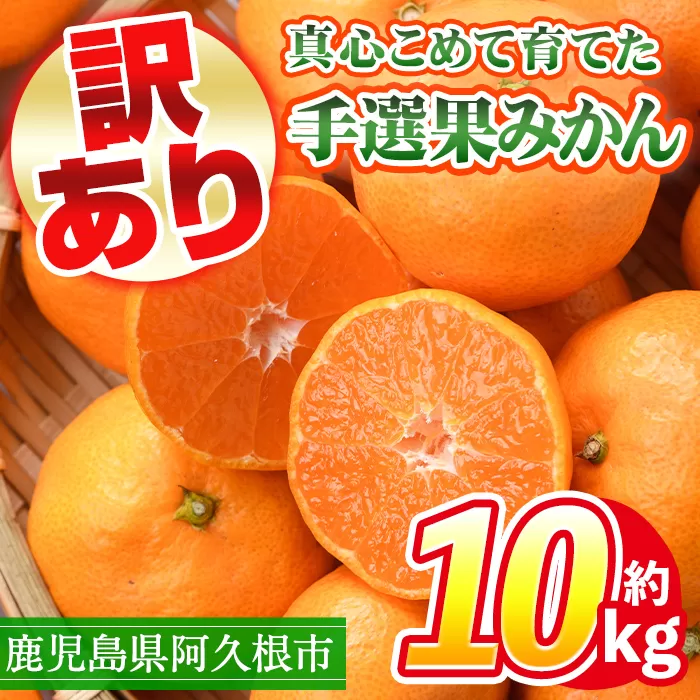 ＜先行予約受付中！2024年10月中旬以降順次発送予定＞訳あり！鹿児島県産手選果みかん(計10kg)国産 柑橘 果物 フルーツ ご家庭用 サイズ 不揃い【三笠農業生産】a-24-28